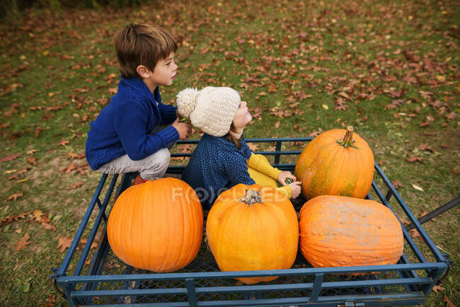 Two kids sitting with pumpkins in a wagon at a pumpkin patch — Stock Photo