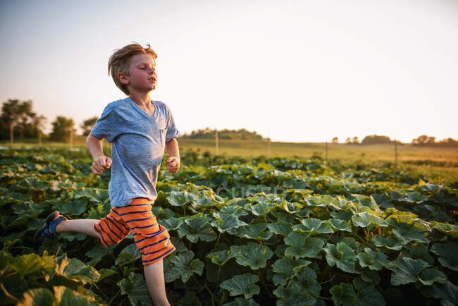 Молодий хлопчик біжить через овочеву ділянку — стокове фото