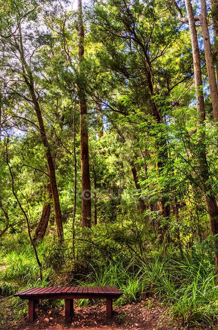 Beautiful view of nature — Stock Photo