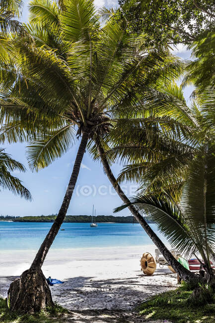 Hermosa playa tropical con palmeras y agua azul - foto de stock