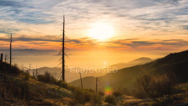 A burned out mountain side struggles to regrow after being consumed by California wild fires — Stock Photo