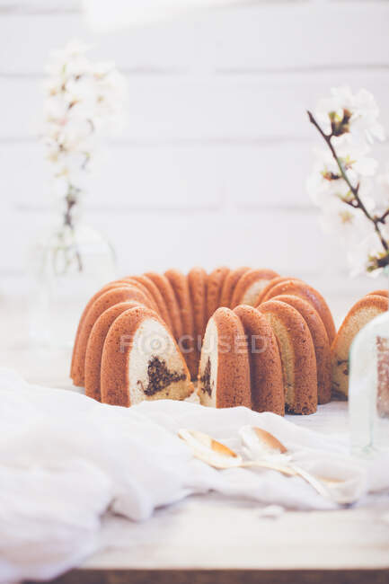 Gâteau fait maison avec sucre en poudre sur fond blanc — Photo de stock