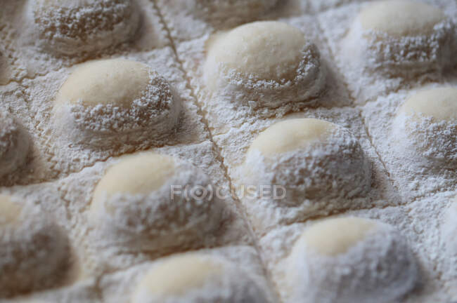 Raw dough dumplings sprinkled with flour — Stock Photo
