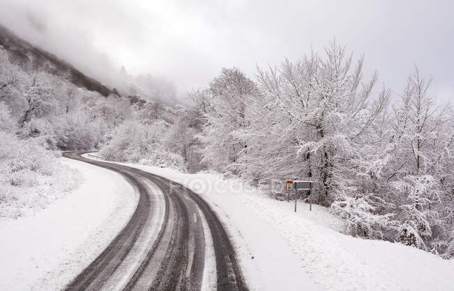 Красивий краєвид з засніженими деревами і дорогою, концепція сніжного дня — стокове фото