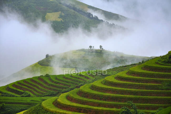 Bellissimo paesaggio con campi verdi agricoli con nuvole basse — Foto stock