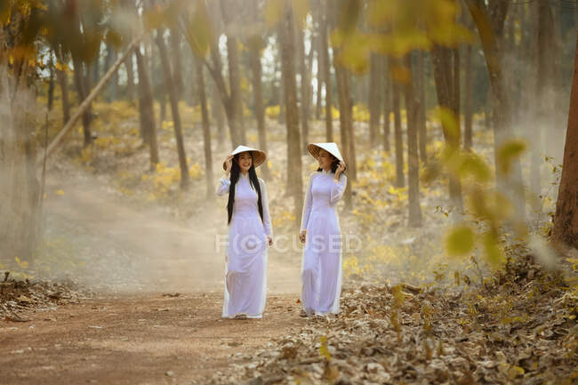 Mulher bonita com cultura Vietnã vestido tradicional, traje tradicional, estilo vintage, Vietnã — Fotografia de Stock
