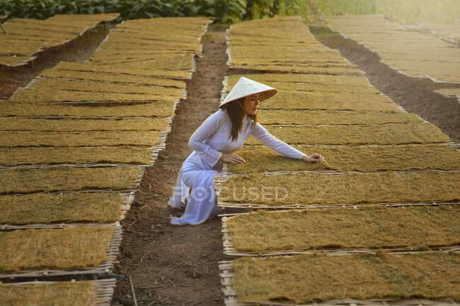 Hermosa mujer con la cultura de Vietnam vestido tradicional, campo de tabaco, Vietnam - foto de stock