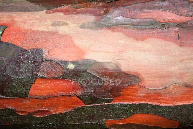 Абстрактный фон с красочным рисунком — стоковое фото