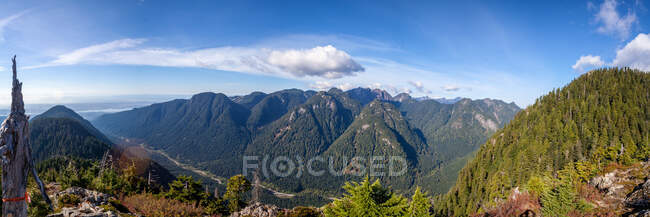 Hermosa vista de verdes montañas cubiertas - foto de stock