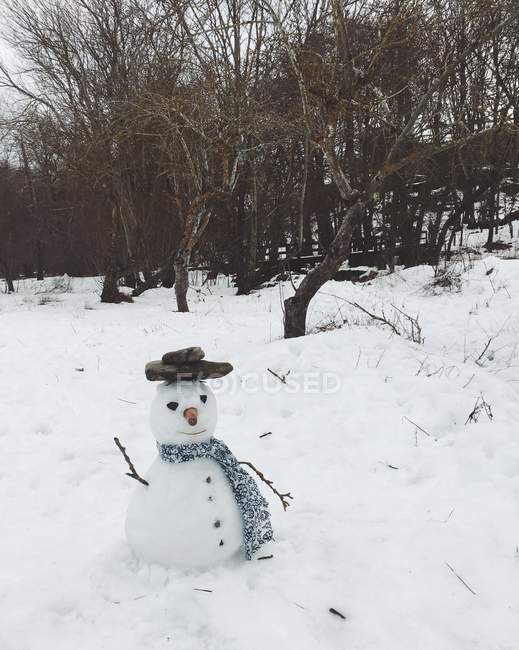 Scenic view of snowman in hat near forest — Stock Photo