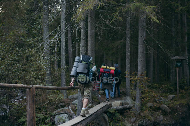 Four people walking across a wooden bridge in the forest, Ukraine — Stock Photo
