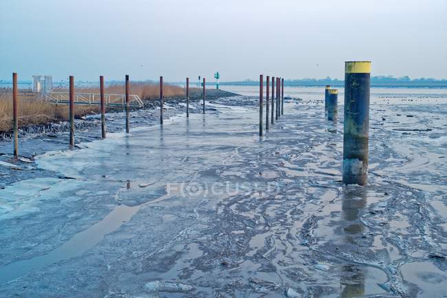 Posti in legno nel fiume, Petkum, Emden, Bassa Sassonia, Germania — Foto stock