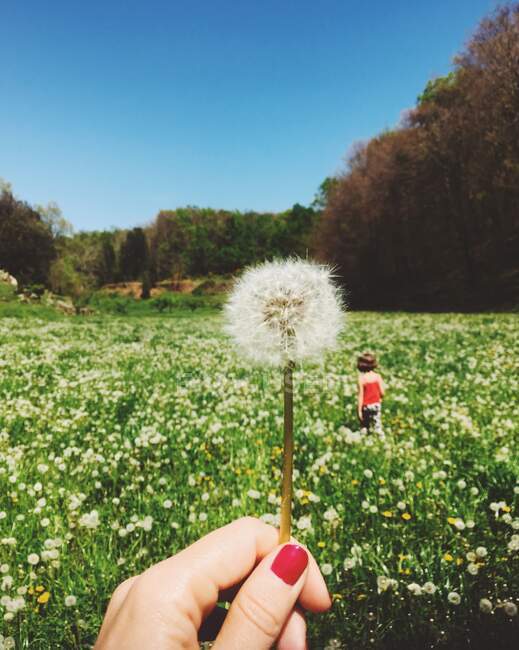 Woman holding a dandelion and her daughter walking in the meadow — Stock Photo