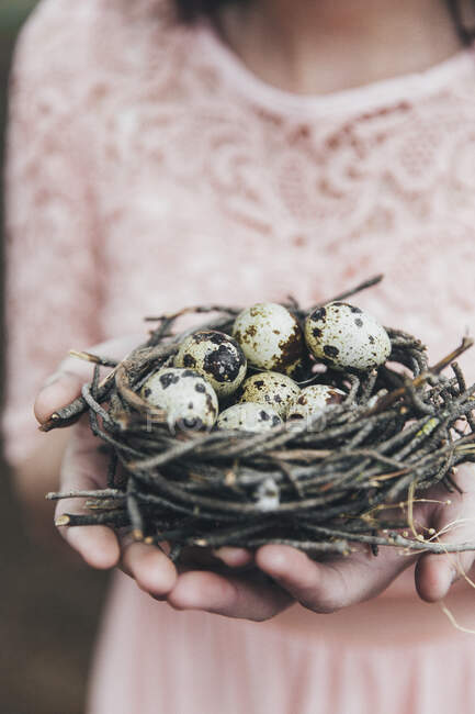 Mani di donna che tengono un nido con uova di quaglia — Foto stock