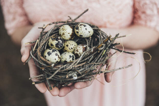 Main de femme tenant un nid avec des œufs de caille — Photo de stock