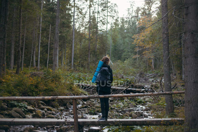 Woman standing on a bridge in the forest, Ukraine — Stock Photo