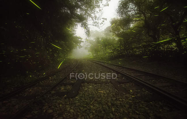 Scenic view of Fireflies flying over a railway line, Taichung, Taiwan — Stock Photo