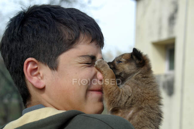 Stray puppy dog licking a boy's face, India — Stock Photo