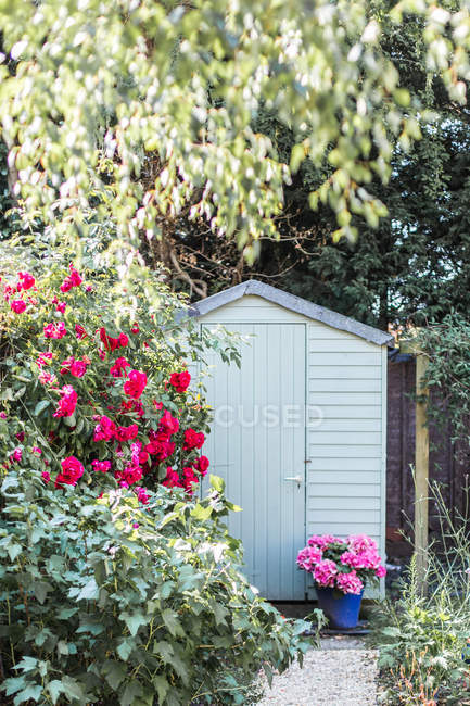 Garden shed surrounded by flowers in summer — Stock Photo