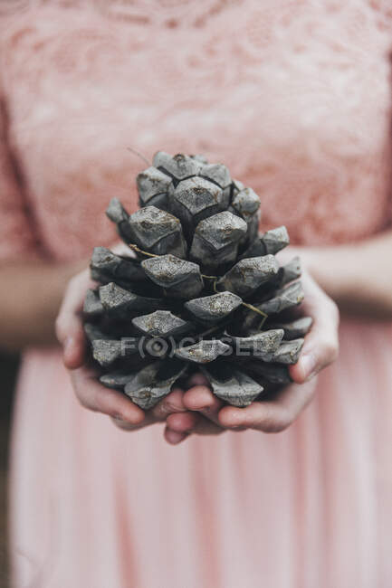 Primer plano de las manos de una mujer sosteniendo un cono de pino - foto de stock