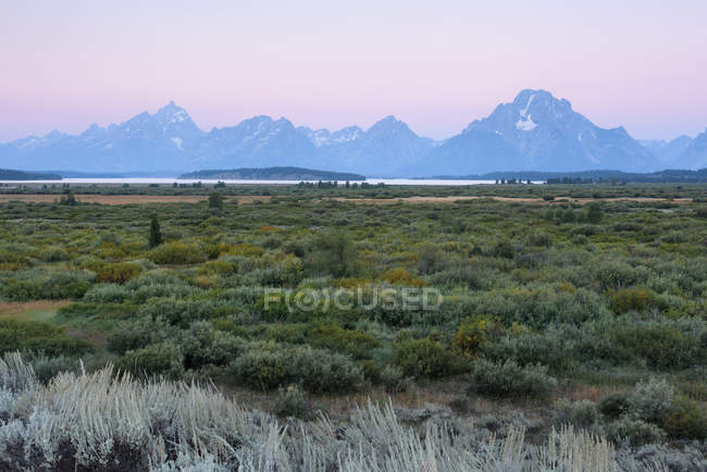 Weiden und Oxbow Bend, Grand Teton Nationalpark, Wyoming, Amerika, Vereinigte Staaten — Stockfoto