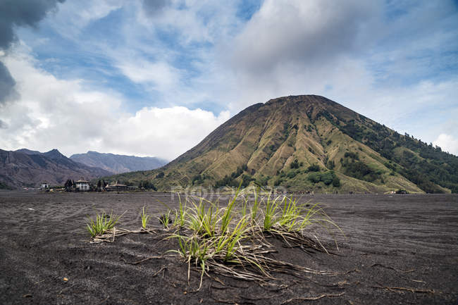 Vue panoramique sur le mont Bromo, Java oriental, Indonésie — Photo de stock