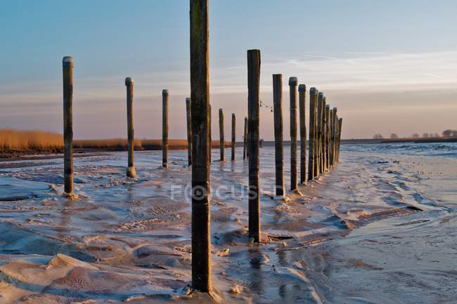 Wooden posts in river, Petkum, Emden, Lower Saxony, Germany — Stock Photo