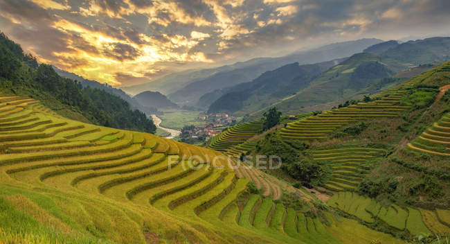 Scenic view of beautiful green rice terrace during sunset, Vietnam — Stock Photo