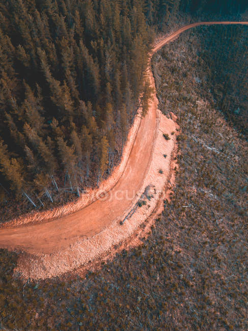 Forest road through the mountains, Bright, Victoria, Australia — Stock Photo
