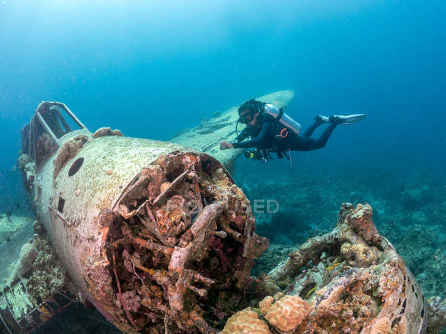 Mulher mergulhando por um acidente de avião, Koror, Palau — Fotografia de Stock