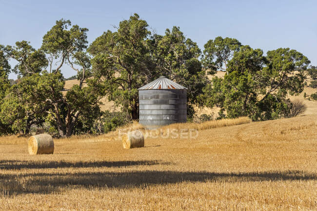 Una vista de un paisaje rural con un campo de heno - foto de stock