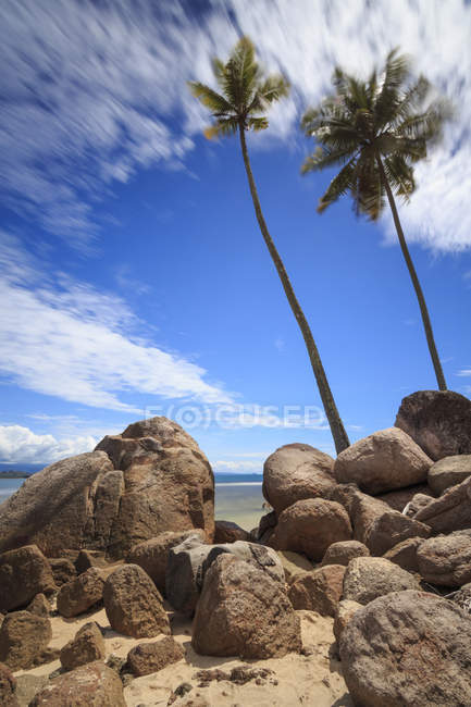 Vista panorámica de palmeras en la playa, Batu Kalang, Sumatra Occidental, Indonesia - foto de stock