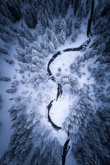 Veduta aerea di un fiume che scorre attraverso una foresta invernale, Zauchensee, Salisburgo, Austria — Foto stock