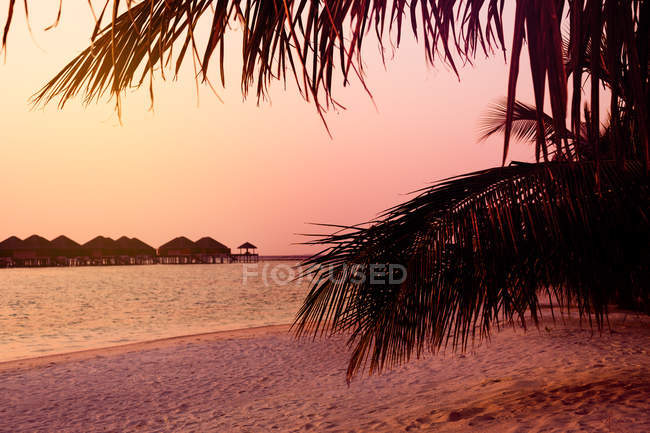 Silhouette of water lodges in water, Maldives pink sunset — Stock Photo