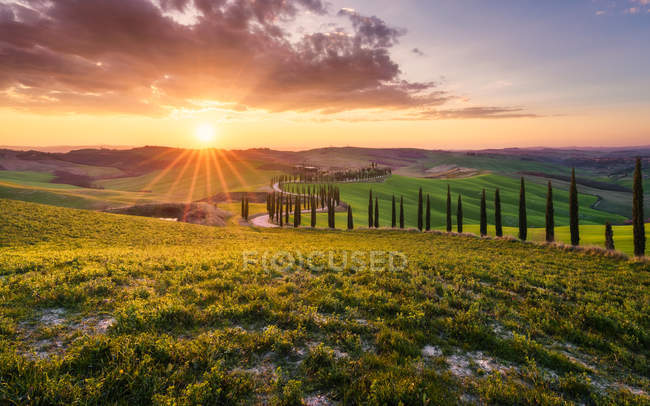 Strada attraverso il paesaggio rurale del tramonto, Asciano, Val D'Orcia, Siena, Toscana, Italia — Foto stock