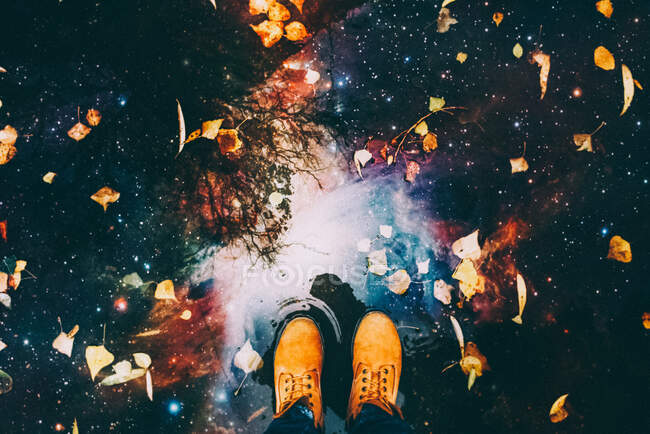Man's feet and reflection of a tree in a puddle of water — Stock Photo