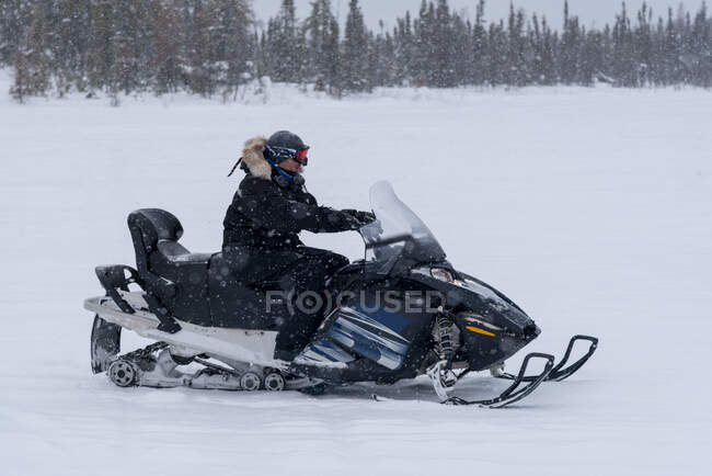 Hombre conduciendo una moto de nieve, Yellowknife, Territorios del Noroeste, Canadá - foto de stock