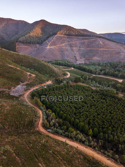 Vista panorámica de la carretera forestal de montaña, Wandiligong, Victoria, Australia - foto de stock