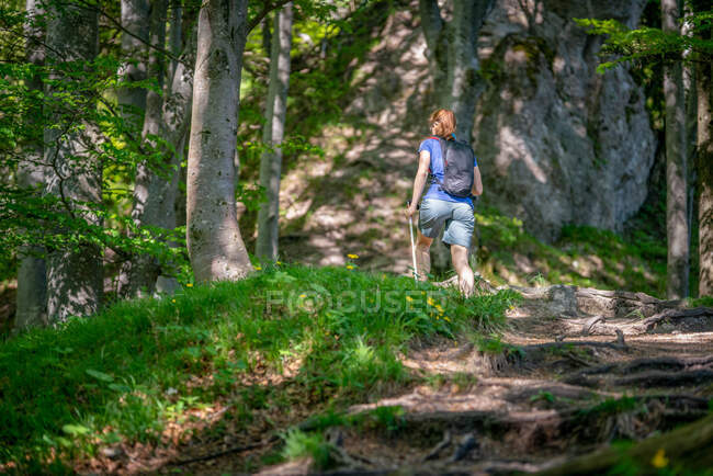 Жінка гуляє на горі Нокштейн (Зальцбург, Австрія). — стокове фото