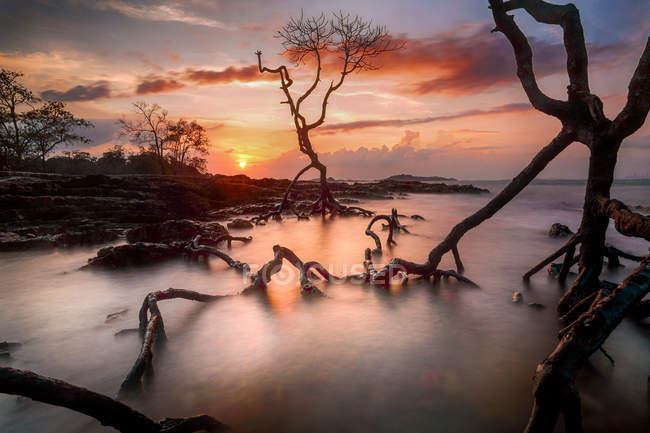Мальовничий вид на Мангровий захід сонця, Батам, Kepulauan Riau, Індонезія — стокове фото