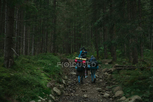 Cinco personas caminando por el sendero en el bosque, Ucrania - foto de stock