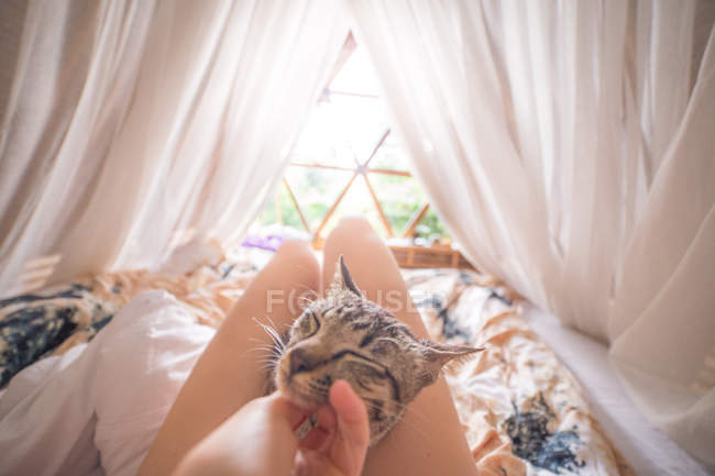 Imagem cortada de mulher deitada em uma cama acariciando seu gato — Fotografia de Stock