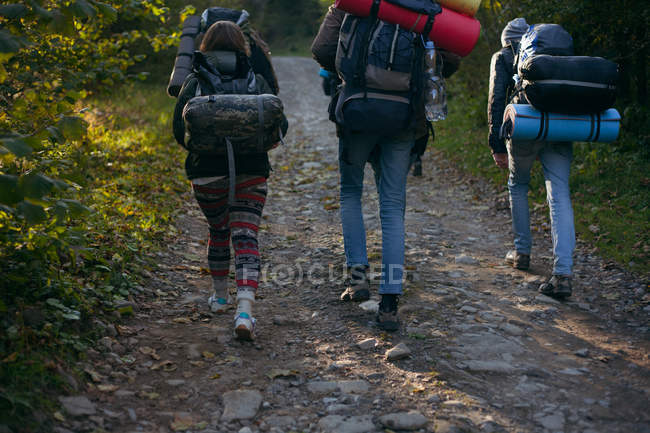 Trois personnes marchent le long du sentier dans la forêt, en Ukraine — Photo de stock