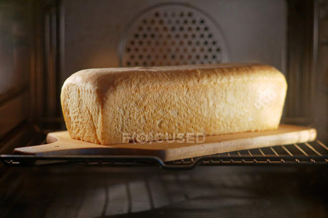 Loaf of homemade bread cooling in an oven — Stock Photo
