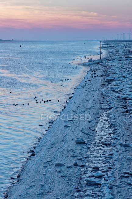 Gelo nas margens do rio Ems, Frísia Oriental, Baixa Saxónia, Alemanha — Fotografia de Stock