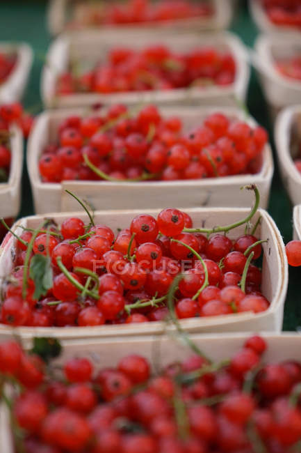 Punnets of redcurrants at a farmer market — Stock Photo