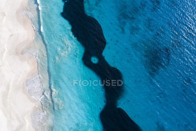 Aerial view of sharks feeding on a bait ball, Carnarvon, Western Australia, Australia — Stock Photo