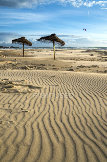 Due ombrelloni nel vento, spiaggia di Los Lances, Tarifa, Cadice, Andalusia, Spagna — Foto stock