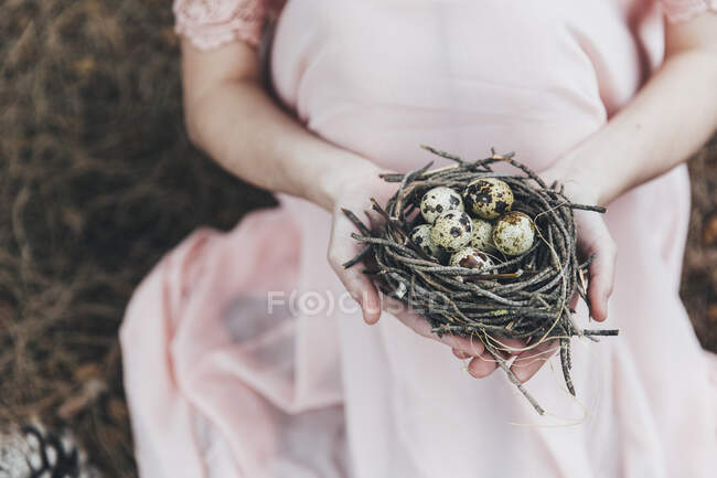 Mains de femme tenant un nid avec des œufs de caille — Photo de stock