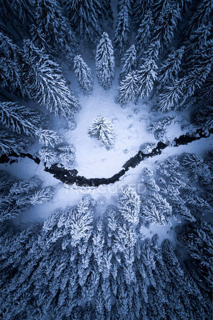 Luftaufnahme eines durch den Winterwald fließenden Flusses, zauchensee, salzburg, Österreich — Stockfoto